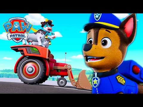 ¡Desastre en la Super Feria de la Granja! 😱🐄 ¡Vacas Perdidas! | PAW Patrol | Episodio Español