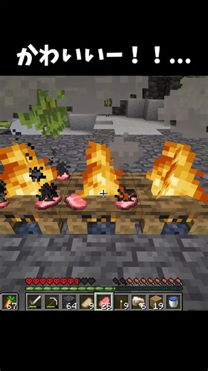 お、いいところに食材が