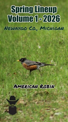 Spring Critter Lineup- Volume 1 Newaygo County, Michigan