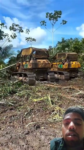 pura Jungle kaise Safar karti hai 😱 #facts #electrical