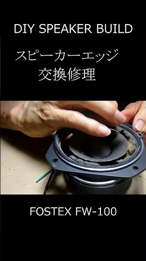 I tried replacing the speaker edge myself.