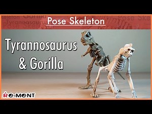 Pose Skeleton - Gorilla and Tyrannosaurus Review