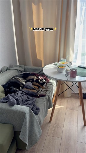 Рокси желает всем хорошего дня! #doglife