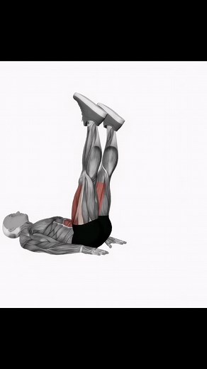 The ALTERNATE LEG RAISE will upgrade your core to a toned up six pack! Try it and let us know in the comments how you like it 💪 👉You can support our animation work for just $2/month at www.exerciseanimatic.com 🔥All the exercises you need: #Strength #Bodyweight #Stretching #Calisthenics #Home workout #Functional #Plyometrics #Cross Exercise #Boxing #Powerlifting #EXERCISEANIMATIC #fitness #gym #workout #fitnessmotivation #fit #motivation #bodybuilding #training #health #love #lifestyle #instag