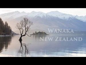 Wanaka New Zealand Walking Tour 4K 2021 | Wanaka Town Centre | Wanaka Tree | Queenstown to Wanaka