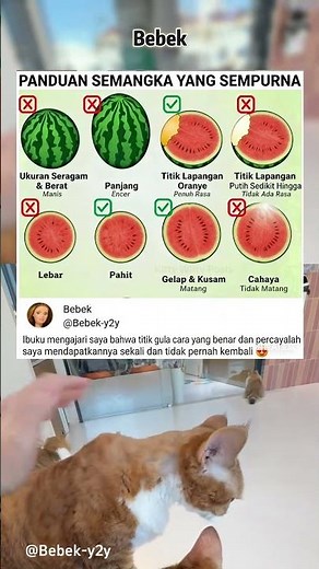 Tips Rahasia Pilih Semangka Paling Manis, Semangka, Tips, Kuliner