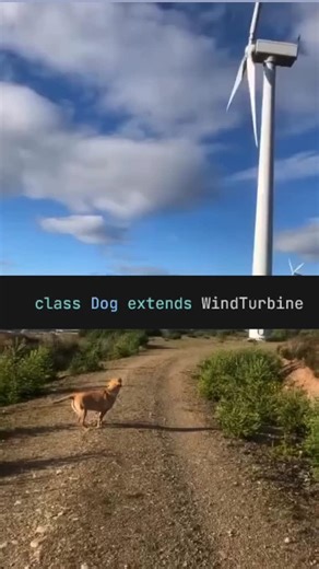 Cybersecurity on Instagram: "Object-oriented DAWG. . . #coding #python #programming #cybersecurity #explore"