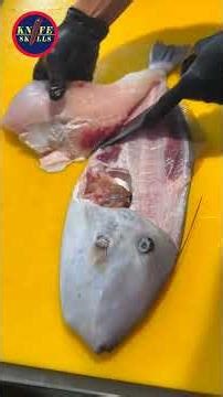 Knife Skills - Professional video fish cutting skills sashimi and sushi food #video #skills #fish