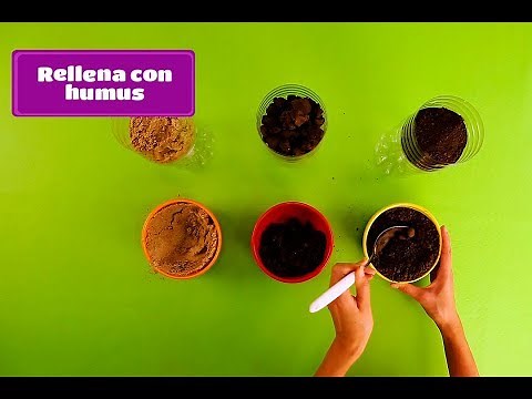 +Experimentos | Tipos de suelos