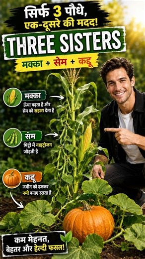 🌽 The Three Sisters Planting Method 🌱 Grow More with Corn, Beans & Pumpkin!