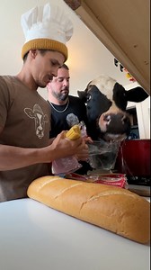 Trying to cook with Bruce and #cow #brucethecow #farm #animals | Eliasfilmz