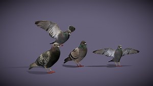 Pigeons - 3D model by Stephengury
