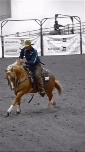3.1K views · 240 reactions | There’s no better place to live it up than the Markel AQHA and Adequan® Select World Championship Shows!  Watch the livestream here: aqha.com/worldshow | American Quarter Horse Association | Facebook