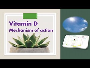 Mechanism of action of vitamin D: Cholecalciferol: calcitriol: sunshine vitamin