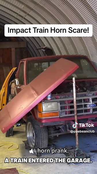 Hilarious Horn Prank Reaction Compilation