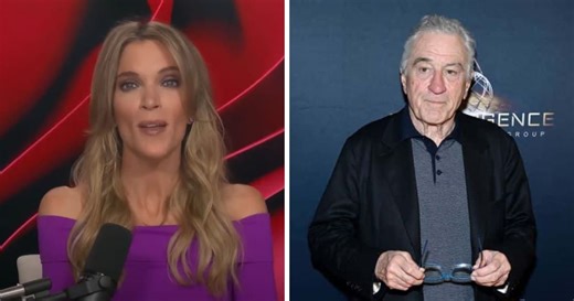 Robert De Niro slammed as Megyn Kelly says actor’s anti-Trump tirade won’t help Biden win election