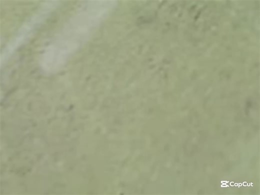 Botella Challenge: Un Sencillo Vídeo de Robleis