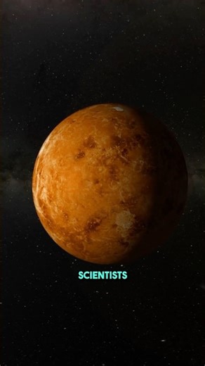 Scientists Found a Possible Sign of Life in Venus’s Clouds ☁️