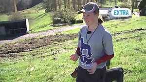 15K views · 204 reactions | Dog trials are about as Kiwi as they come, but this young pair are changing things up. Phoebe & Sage briefed us on the sport ahead of tonight's show. | Seven Sharp | Facebook