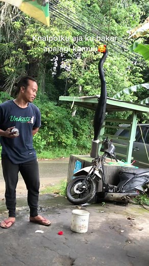 Ahmad Ibrahim on TikTok