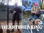 Noel-Gallaghers-ex-wife-Meg-Mathews-condemns-cruel-beagles-animal-testing.html