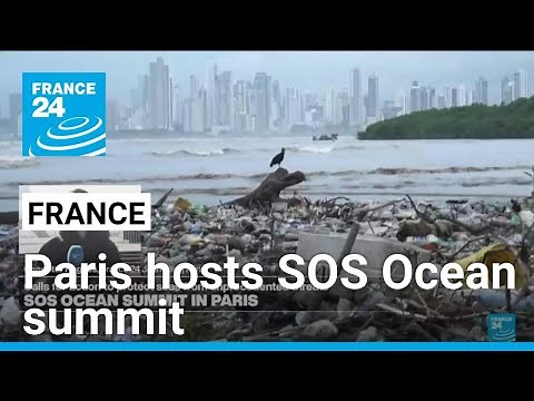 Paris hosts SOS Ocean summit as seas face unprecedented threats • FRANCE 24 English