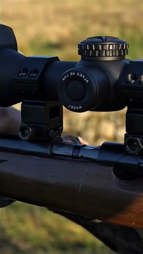 Rabbit 🐰 Hunting at Close Range | Fast Reflex #hunting