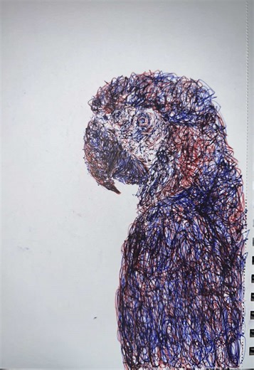 Abstract Hand-Drawn Parrot: Ambidextrous Art