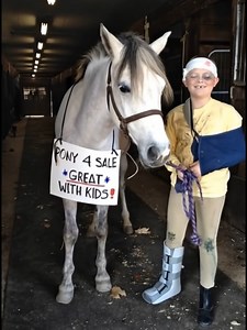 374K views · 4.7K reactions | Pony For Sale - Great With Kids <3 | Horse Grapevine | Facebook