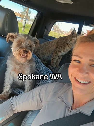 Spokane ranking the 6th whitest city in the country still had the nickname Spokompton. #spokane #washington #nicknames #division #i90