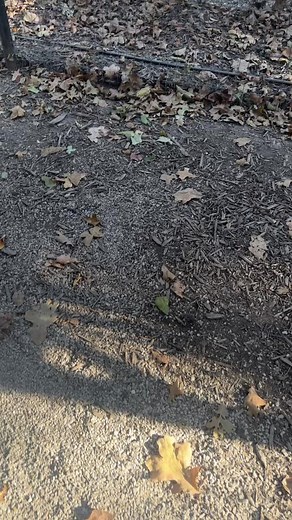 A lot ask how my mornings start. So here ya go. Good mornings to the babies. #mymornings #goodmorning #tostarttheday