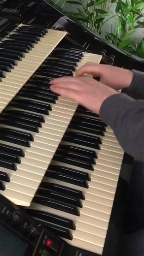 Florian Hutter on Instagram: "He‘s Got The Whole World In His Hands | Florian Hutter - Wersi Atlantis #wersi #organ #keyboard #piano #orgel #hammondorgan #synth #swing"