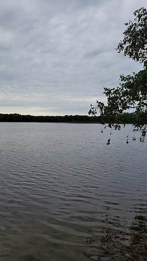 Another current camping situation reel! Shelly Rosett Lyla Wilson Camp Holiday Resort & Campground | Alex Wilson