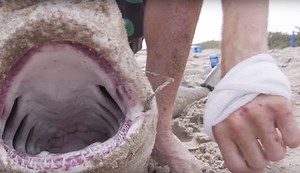 Man Attacked by Shark, Catches it and Eats it | The Inertia