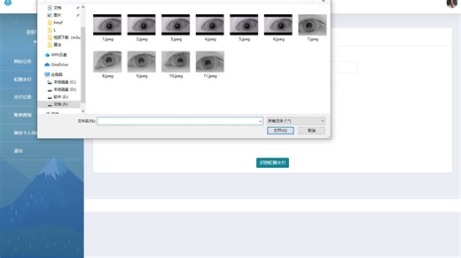 Python虹膜识别支付系统-设计代做