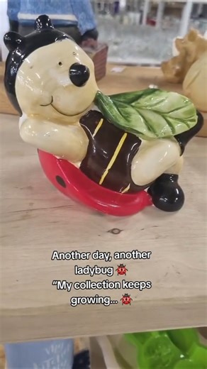 My ladybug collection keeps growing 🐞🐞🐞#ladybug #collection ##shorts #lifeisbutadream