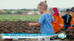 Raising successful kids - the critical timeline and simple steps to give your child a lifelong advantage