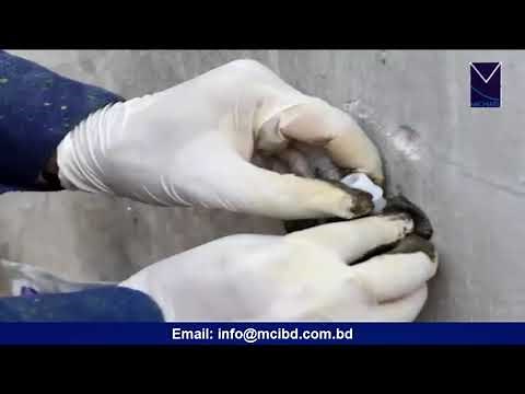 INJECTION GROUTING | Waterproofing Procedure