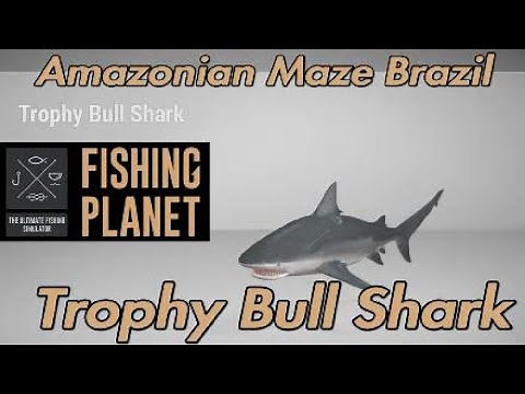 Trophy Bull Shark - Amazonian Maze Brazil - Fishing Planet Guide