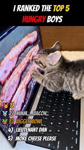 Top 5 Hungriest Cats 😼🍽️ Who Haven't Been Fed in over 0.5 seconds #cats #cat #funny