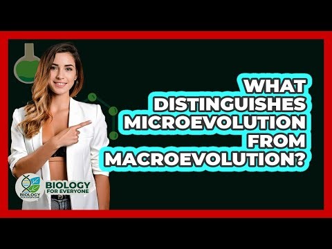 What Distinguishes Microevolution From Macroevolution? - Biology For Everyone