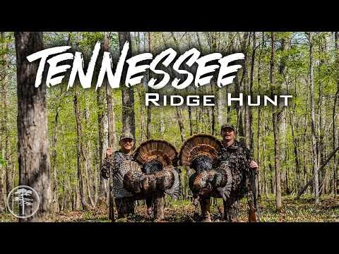 Tennessee Turkey Hunting- Chasing a 7 Pack of GOBBLERS