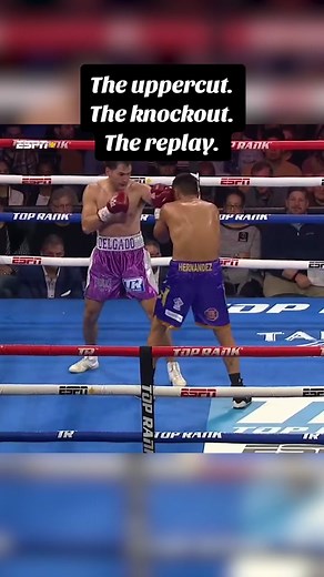 #boxing #knockout #sportstiktok