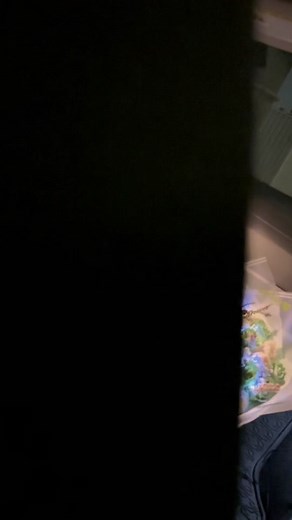 I love you my Evangeline💚✨ • • Princess and the Frog themed 🐸🤍 • • • Insta:@ Melrose_florals Inspo:@𝒫𝓇𝒾𝓈𝒸𝒾𝓁𝓁𝒶🌸 • • #princessandthefrog #tiana #evengaline #myevangeline #princessandthefrogbouquet #princessandthefrogedit #disney #disnyprincess #fypage #floristsoftiktok #floraldesign #florist #viralvideo #trending