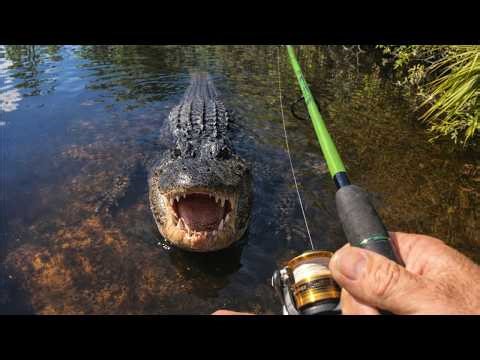 This Got Sketchy Fast (3 Days Everglades Canal Fishing & Camping)