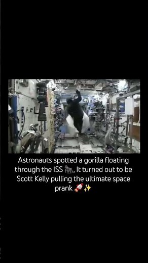 The Day a Gorilla Appeared on the ISS 🦍🚀