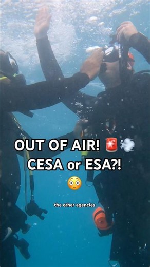 CESA vs ESA ”the out of air & alone” scuba skill 🤿👍🛟 #scubadiving #scubainstructor #rescuediver