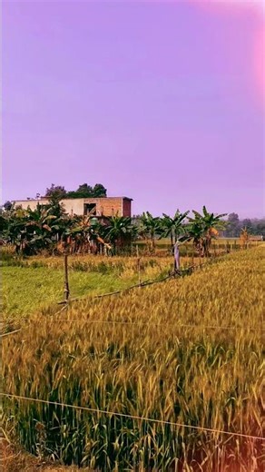 Tune Preet Jo Mujhse Jodi #viralvideo #shorts #shortvideo #viral #trending #love #short #ytshorts