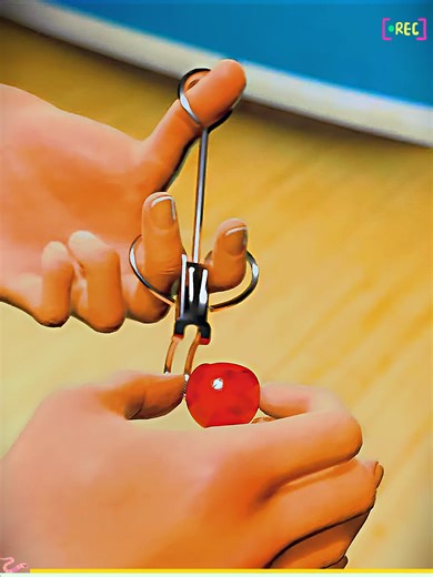 How cherry trees can multiply forever #zackdfilms #3d #animation #cherry #multiply