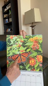 My 2026 calendar arrived! Here’s what they look like actually on the calendar. Thank you again for all of your help! (Want a calendar? I make no money on these - you deal directly with Mixbook. Message me your email address, and Mixbook will send you a link so you can order it directly) | Joseph Fox